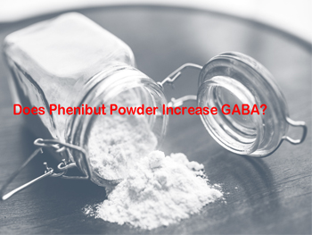 Does Phenibut Powder Increase GABA?